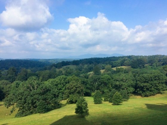 If you find yourself in Asheville check out the Biltmore Estate - it has history, art, beautiful gardens and much more. Check out my adventure here. www.TheVogueVoyager.com